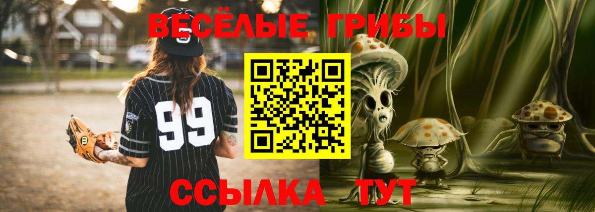 Псилоцибиновые грибы MAGIC MUSHROOMS Киселёвск